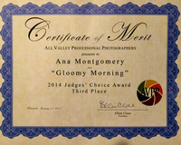 Ana Montgomery Photography [Irvine CA], Awards