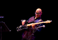 Concerts: Ana Montgomery Photography (CTR & Mike Garson - Luke Spiller - Joe Sumner - Candi Stanton