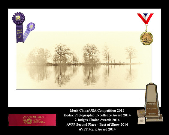 Ana Montgomery Photography [Irvine CA], Awards