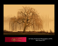 Ana Montgomery Photography [Irvine CA], Awards