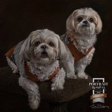 Ana Montgomery Photography [Irvine CA], Awards