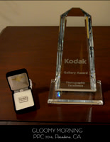 Ana Montgomery Photography [Irvine CA], Awards
